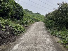 -杭州屏风山越野车营地·团建别墅轰趴民宿