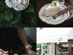 -concerto协奏曲咖啡店