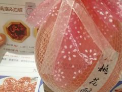-蜀九香火锅(九眼桥店)