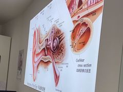 -自然之声助听器·呼吸机(康桥旗舰店)