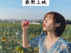 -光明小镇欢乐田园