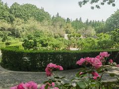 -洛阳市隋唐城遗址植物园