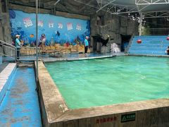 -合肥野生动物园