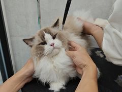 -萌小它宠物健康管理中心(怡海家园店)