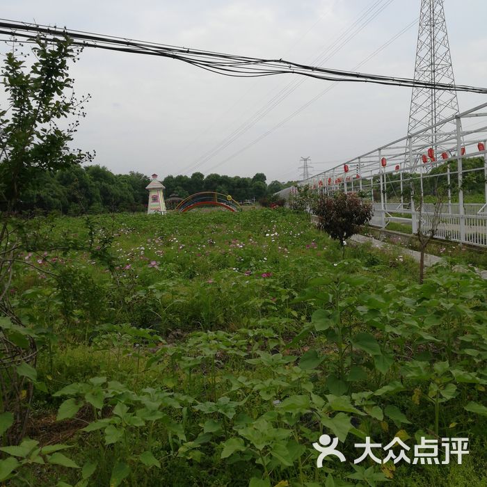 鱼佬大生态农庄