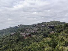 -三亚亚龙湾人间天堂鸟巢度假村