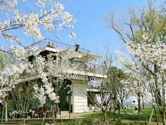 -龙美术馆(西岸馆)