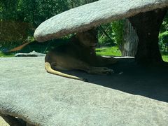 -北京野生动物园