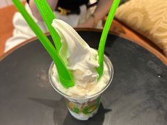 -Salud撒露欧洲冻酸奶(蓝色港湾店)