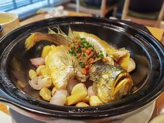 生焗鲜黄鱼-兰亭轩茶餐厅(长江路店)