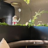 不爱吃鸡肉的我，错过了什么神仙美味？！