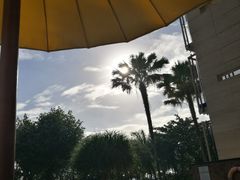 -水明漾大酒店 - 巴厘岛精品生活方式度假村