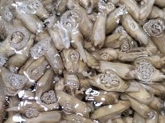 -和源祥·日照菜扛把子(万平口一店)