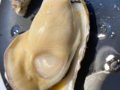 -笨笨甲甲鱼坊(蓝堡湾店)