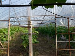 -美家乐农庄·露营·团建(大治路店)