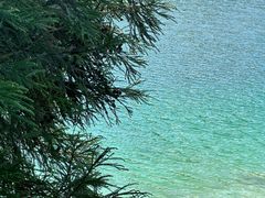 -武陵山森林公园