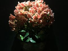 -璞·澐间影院式足道SPA(尚悦湾店)