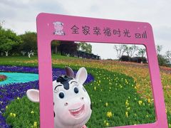 -秀丽东方