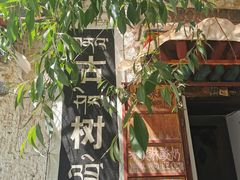 -古树酸奶(八廓南街店)