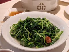 -利苑酒家(华熙国际店)