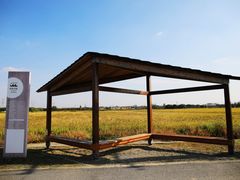 -嘉北郊野公园