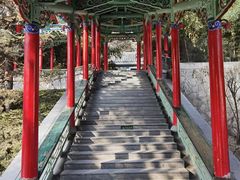-白塔山公园
