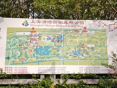 -上海海湾国家森林公园