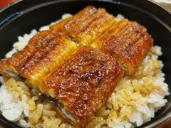 大阪鳗鱼饭-本家 柴藤