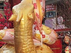 -越秀西湖花市(广州城市广场花卉店)