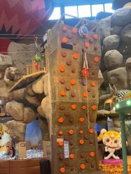 -卡通尼·Safari非洲探索乐园·生日会(金桥国际商业广场店)