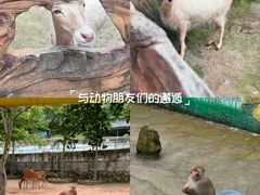 -大连森林动物园