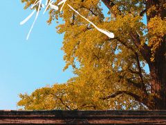 -金堂县云顶石城风景区