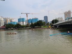 -光明港公园