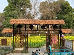 -圩墩遗址公园