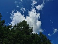 -塞罕坝国家级自然保护区