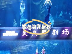 -多彩贵州城极地海洋世界