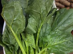 -木萨火锅店(开鲁路店)