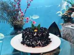 -瑞德姆美人鱼海底演艺主题餐厅(亚龙湾店)