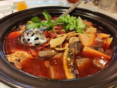 全家旺-马旺子酒楼