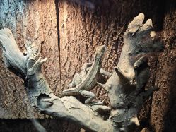 -酷嗒动物文化乐园(cutezoo西溪乐天城店)