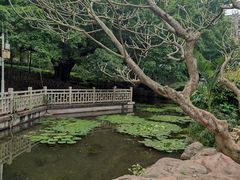 -晓港公园