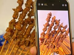 -民族烤羊·烤羊肉串·烤羊排(南城店)