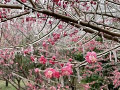 -求雨山文化公园