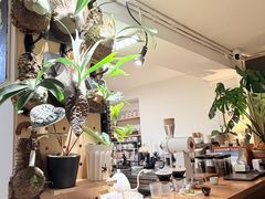 -本無咖啡·BeanWood Coffee