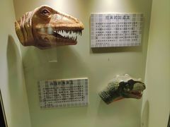 -世界恐龙谷景区