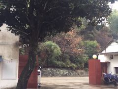 -老胡开文墨厂