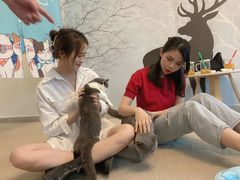 -泰国佛·塔罗·泰牌狐仙古曼