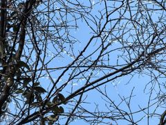 -南京市江宁方山