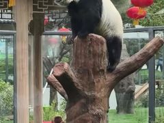 -无锡动物园·太湖欢乐园