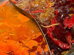 -朱光玉火锅馆(正弘城店)